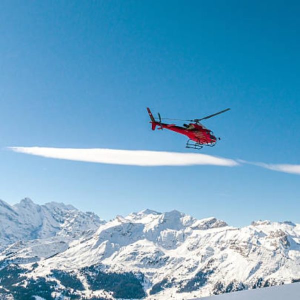 Volo in elicottero sui ghiacciai da Interlaken-Gsteigwiler