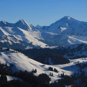 Hélicoptère LENK-SIMMENTAL