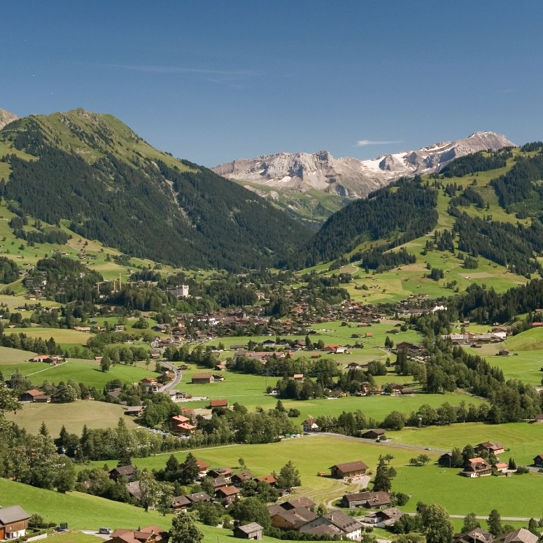 Depuis Saanen Gstaad-Saanenland en hélicoptère