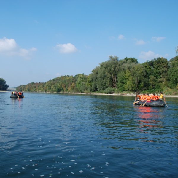 Divertente rafting sulla Reuss da Bremgarten a Gebenstorf