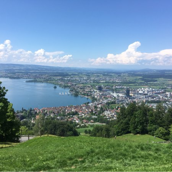 Volo in mongolfiera in Argovia con vista sul lago di Zugo