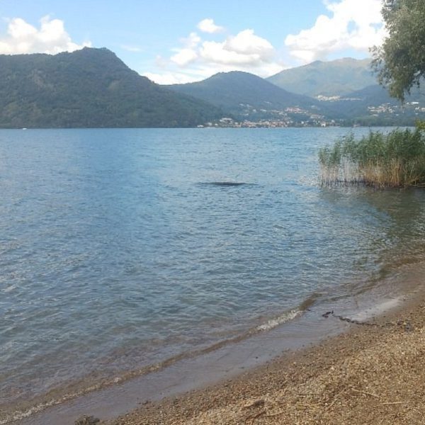 Blick auf den Luganer See von Figino aus