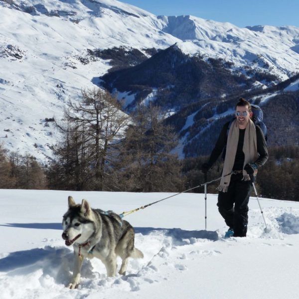 Husky et raquettes à neige