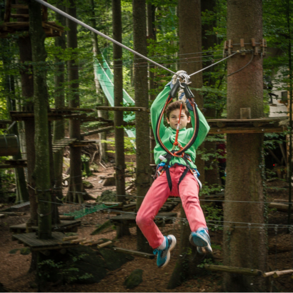 Parco avventura a Interlaken